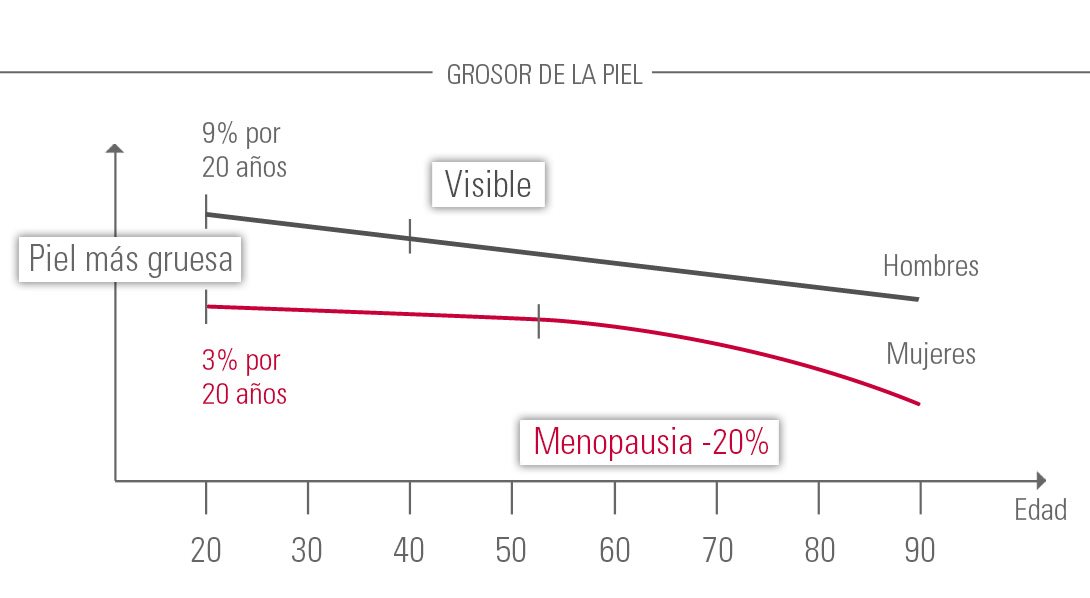 Diagrama del espesor de la piel
